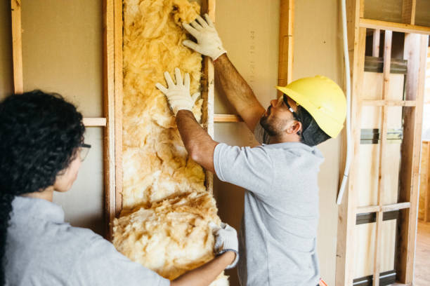 Best Blown-In Insulation  in Riddle, OR